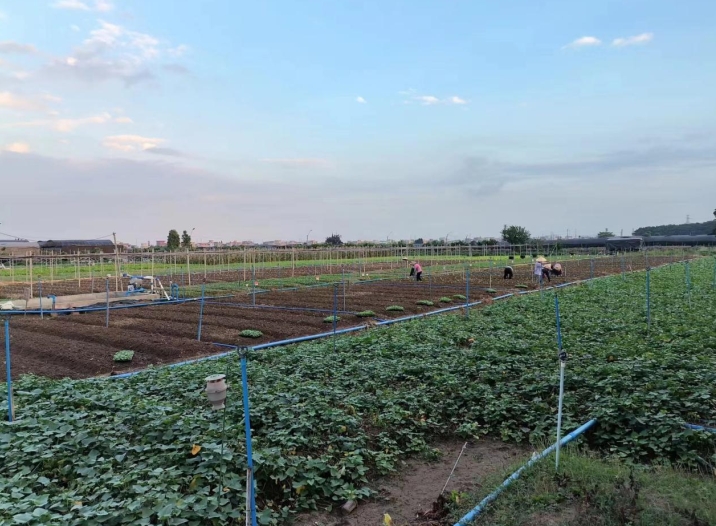 �V��ʳ�����͹�˾�v��o(w��)�������Gɫ���ЙC���߲˵ą^�e